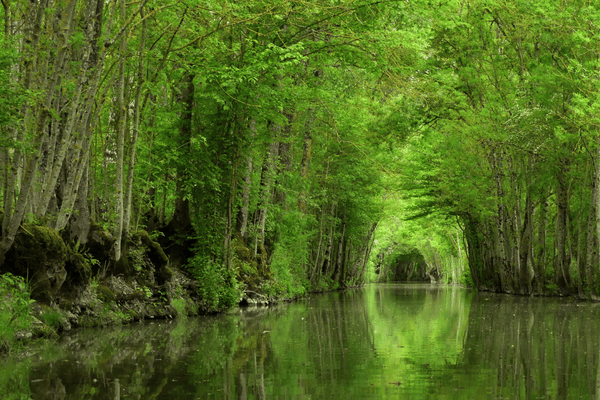 embarcadère du lidon photo de conche