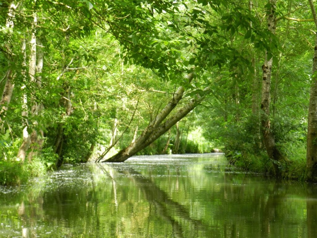 Galerie photos Marais Poitevin